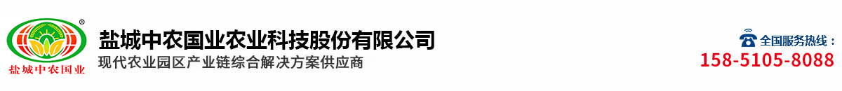 91手机看片网站