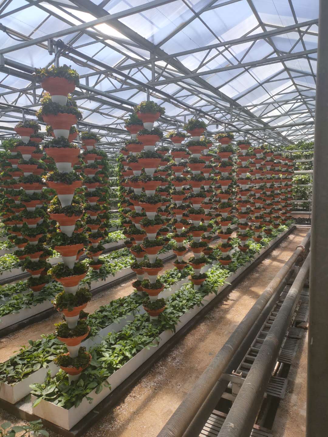 91看片软件在线下载案例