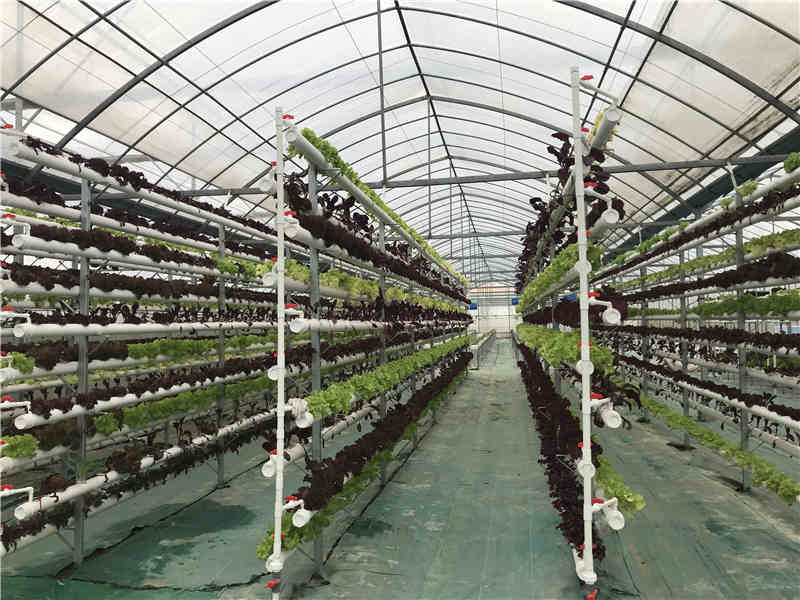 立体91看片浏览器
