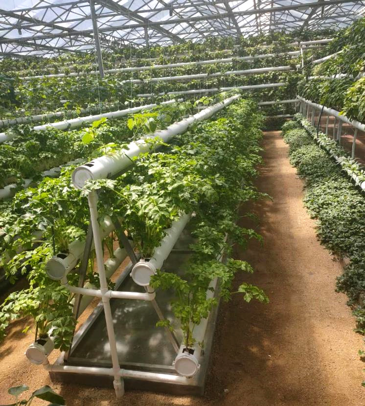 91看片软件在线下载案例